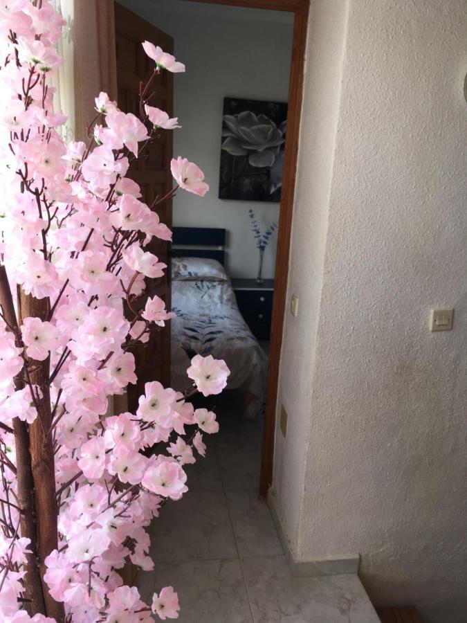 Bed and Breakfast Casa Phoenix Bed & Breakfast La Mariña Exterior foto